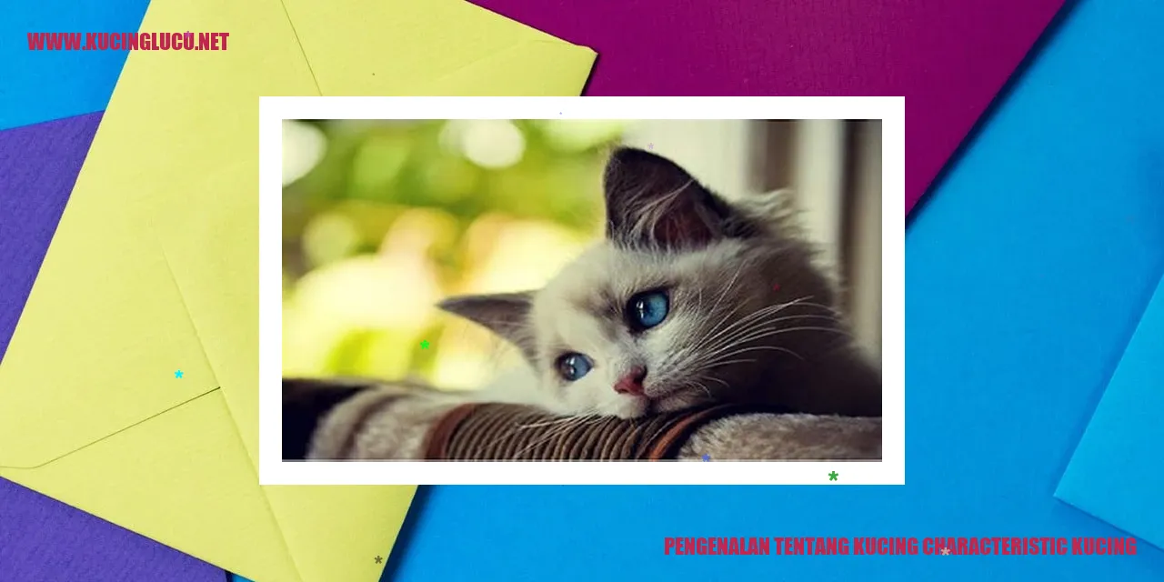 gambar kucing yang menggemaskan