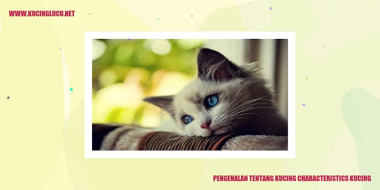 gambar kucing yang menggemaskan