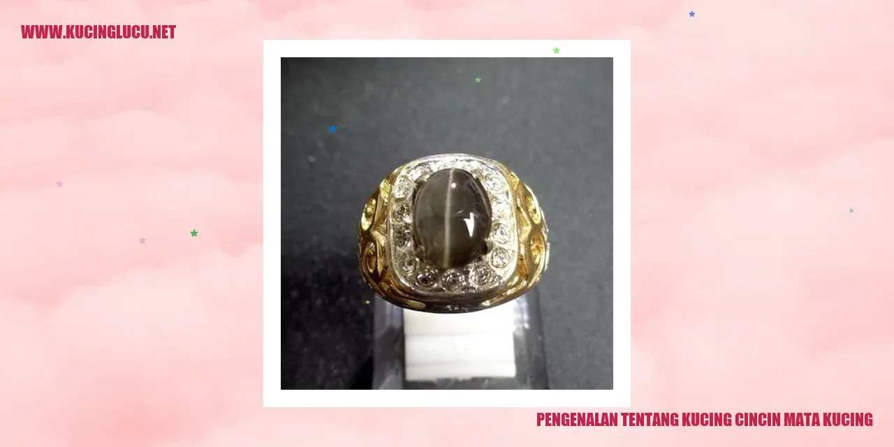 Kucing Cincin Mata Kucing