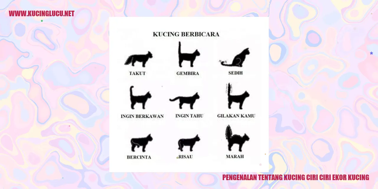 Kucing dan keunikannya