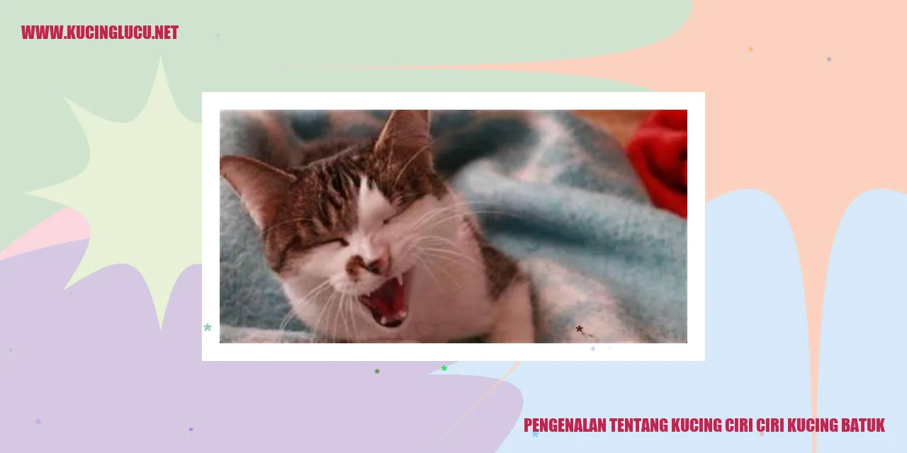 Kucing Batuk