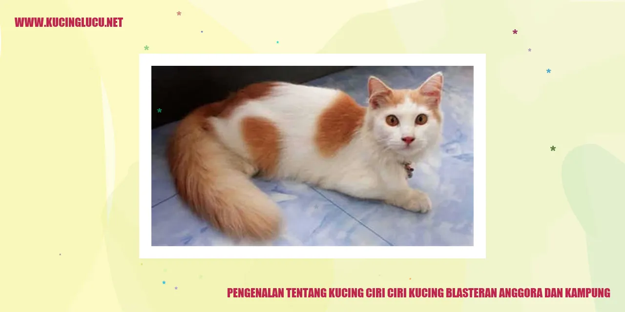Foto Kucing