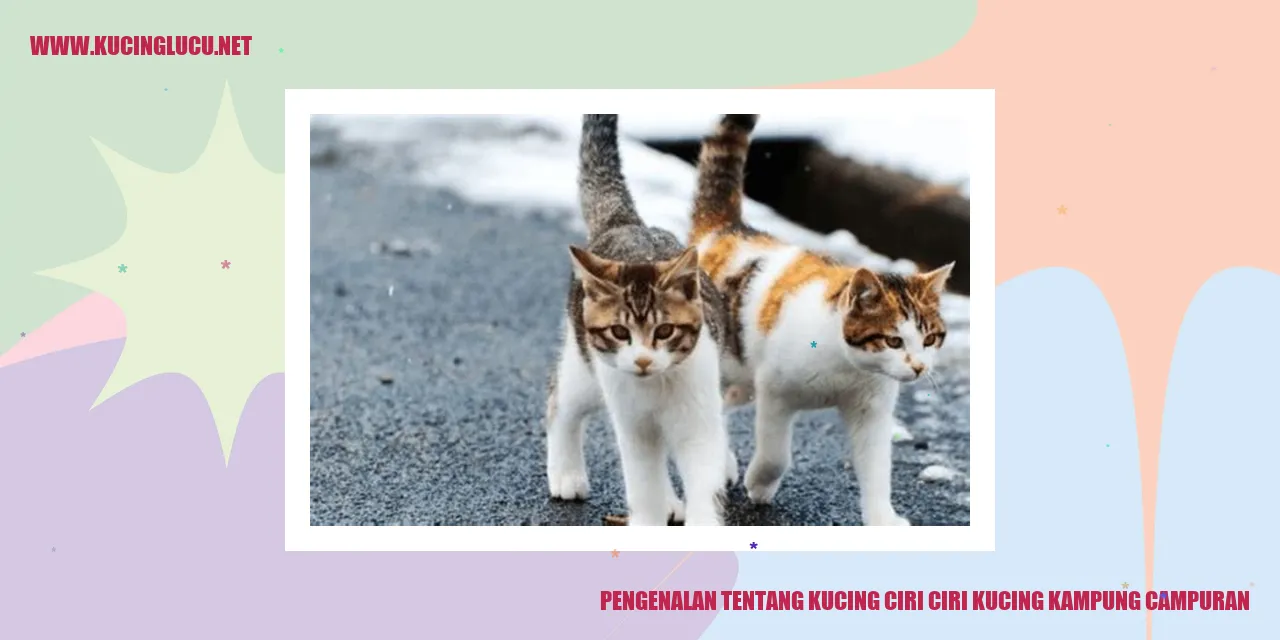 Kucing Berkampung Campuran