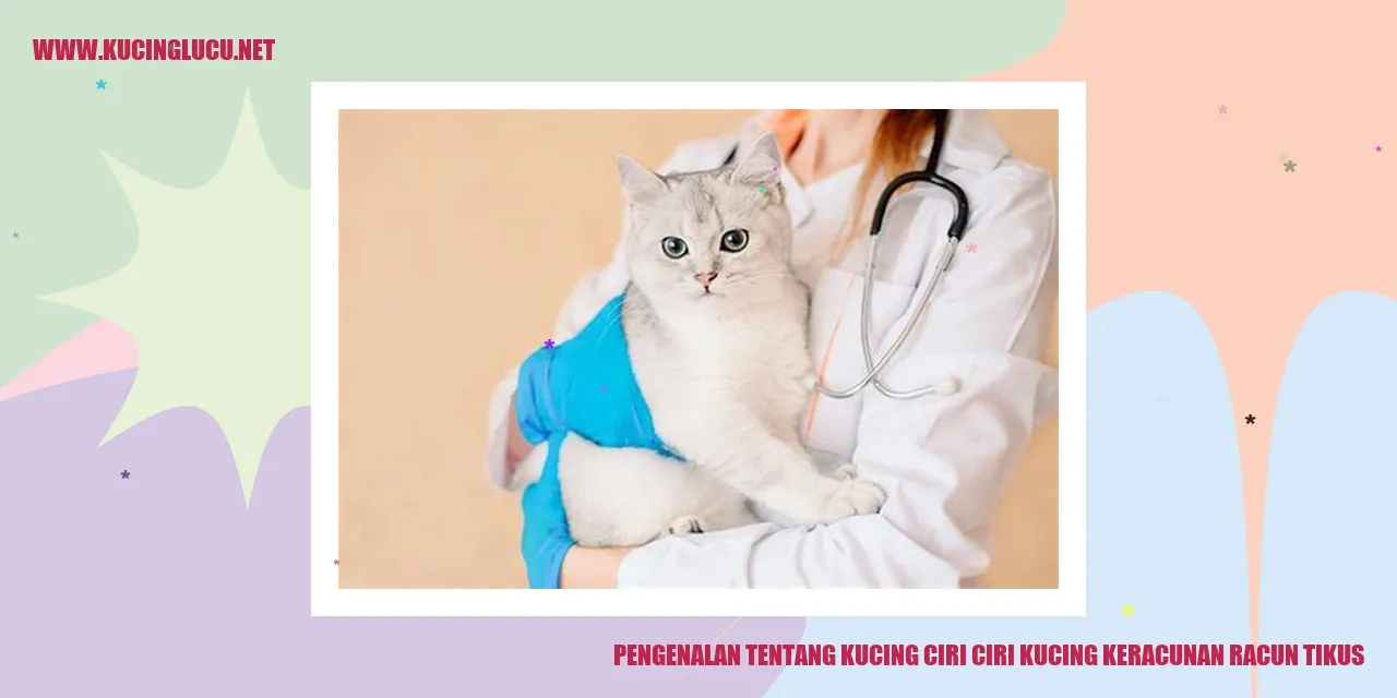 Gambar seekor kucing sedang tidur