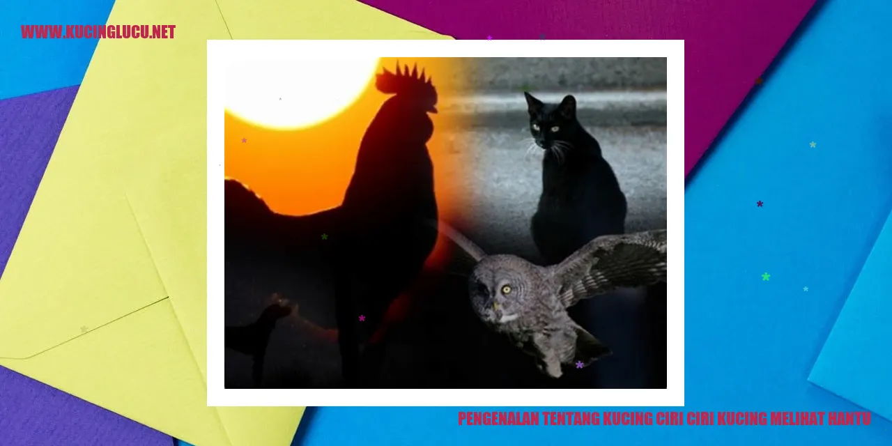 Ilustrasi Kucing yang Melihat Hantu