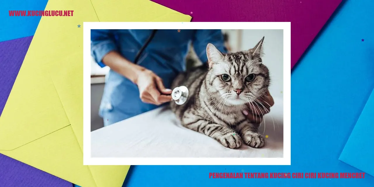 Gambar Kucing