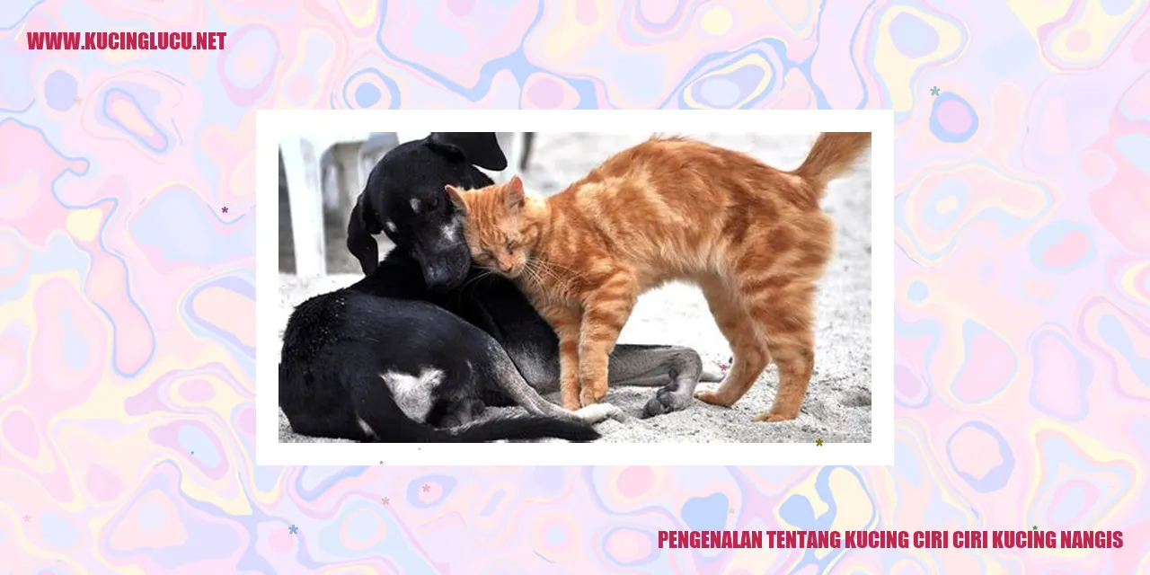 Gambar Kucing yang Menggemaskan