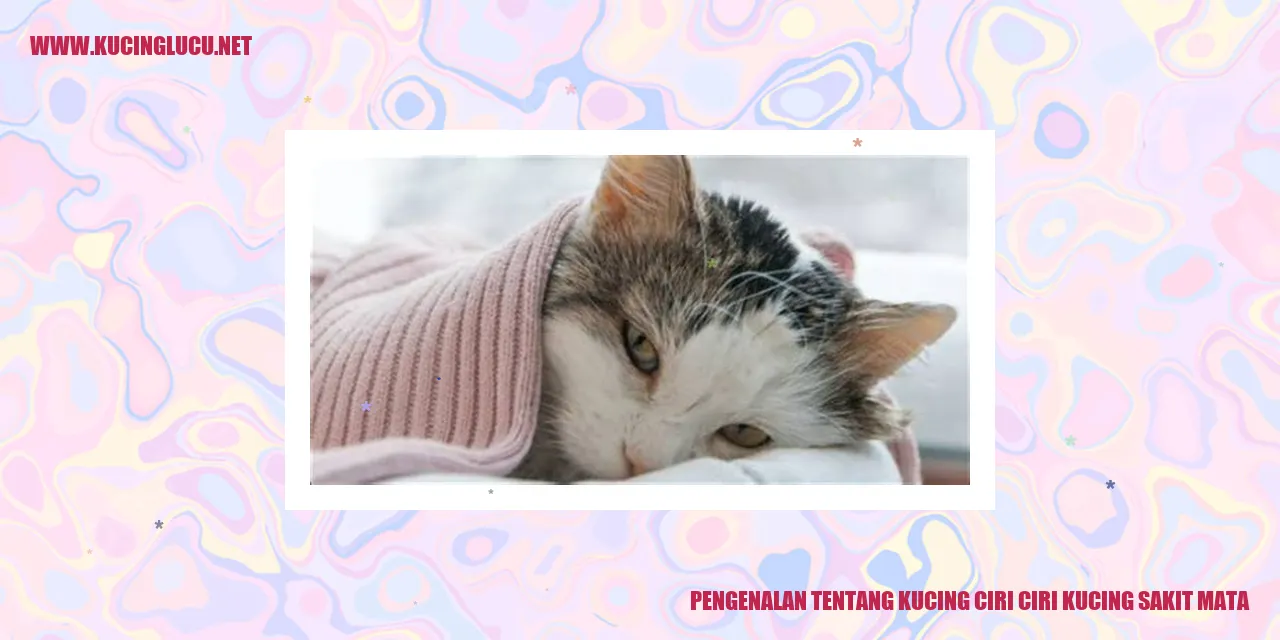 Gambar Kucing