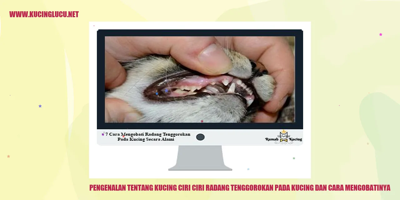 Gambar Kucing Lucu