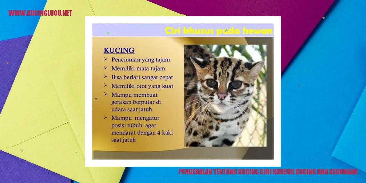 Gambar Kucing