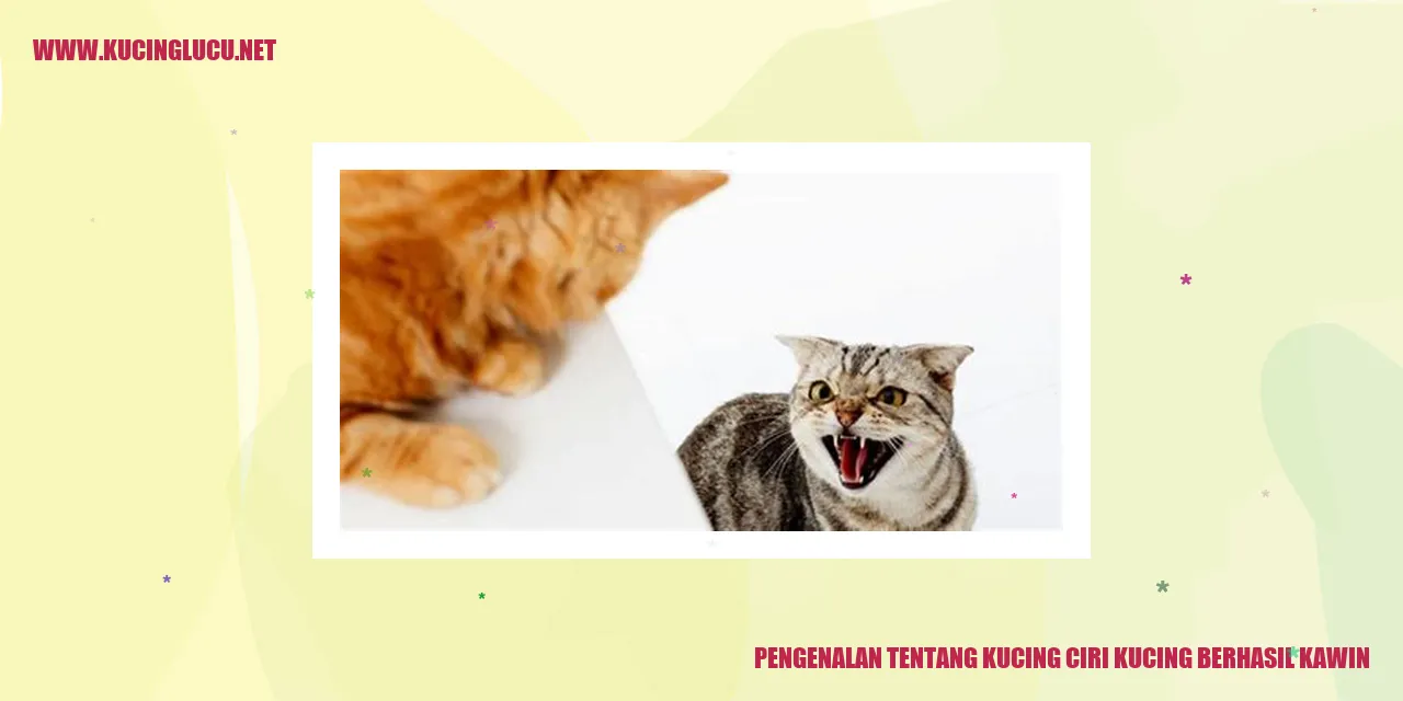 Kucing Menggemaskan