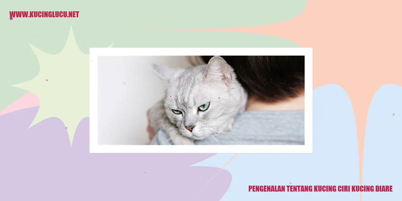 kucing lucu dan menggemaskan