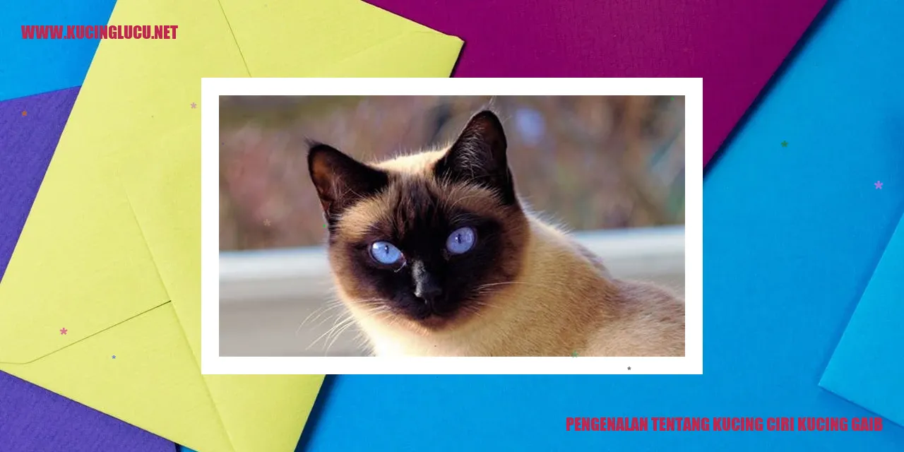 Gambar Kucing Gaib