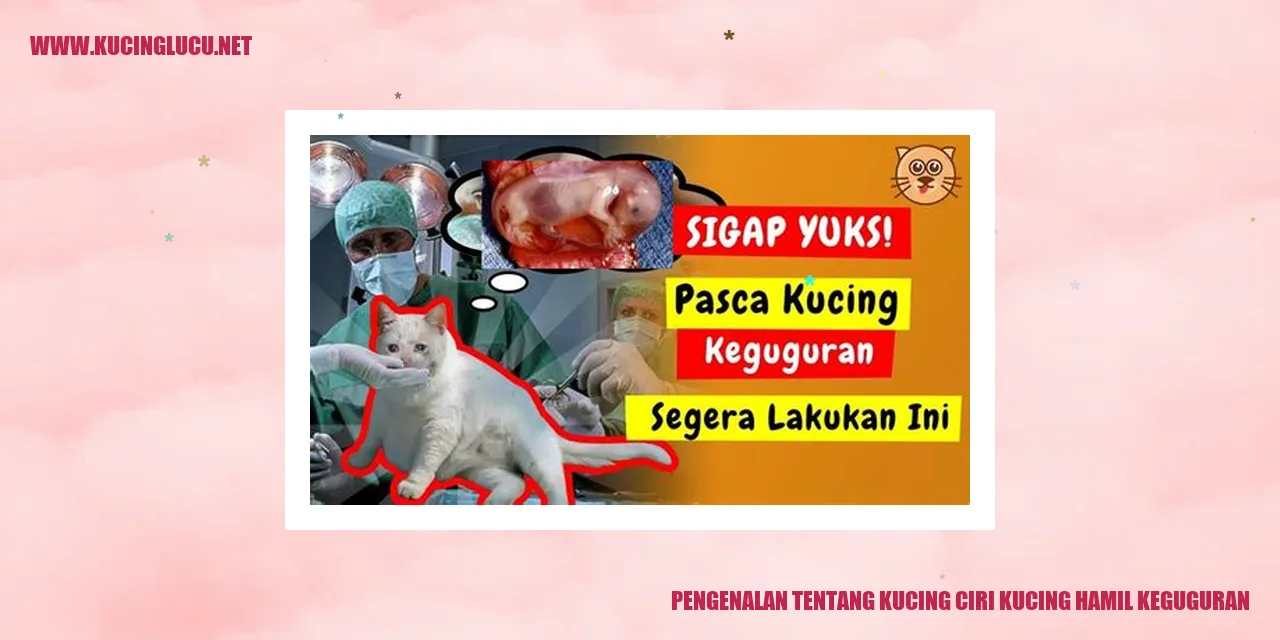Gambar kucing