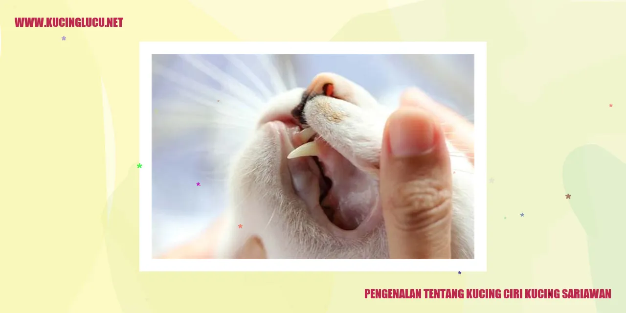 Gambar Kucing