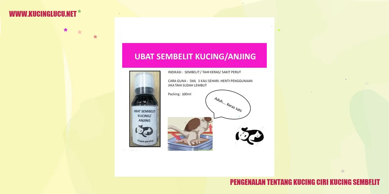 Kucing yang Mengalami Sembelit