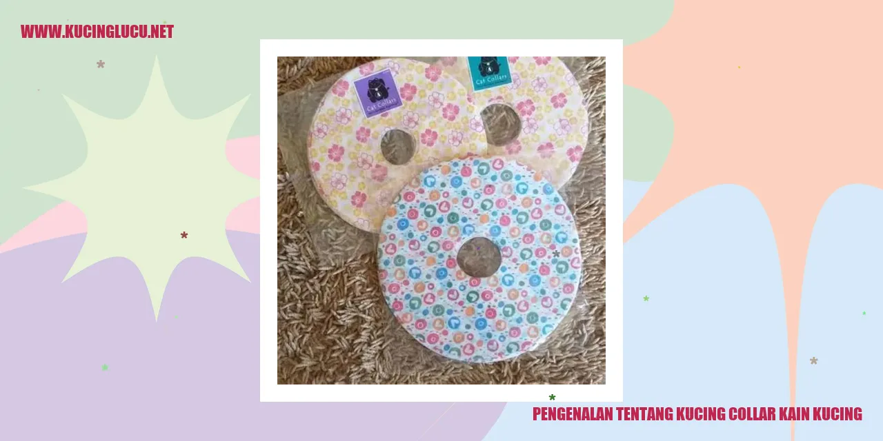Kucing collar kain kucing