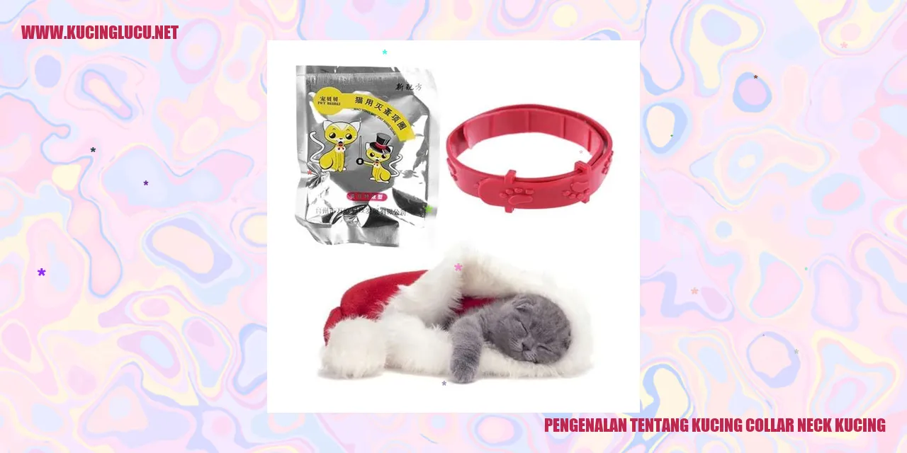 Kucing dengan bulu kerah