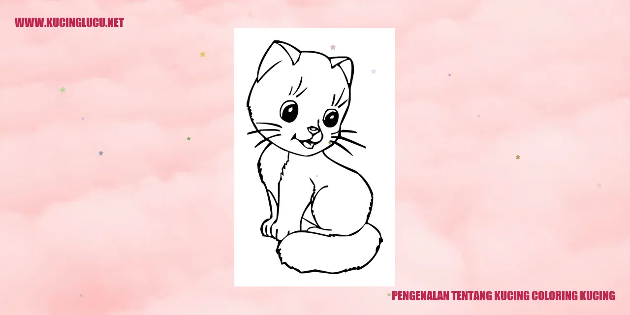 Gambar Kucing Coloring Kucing