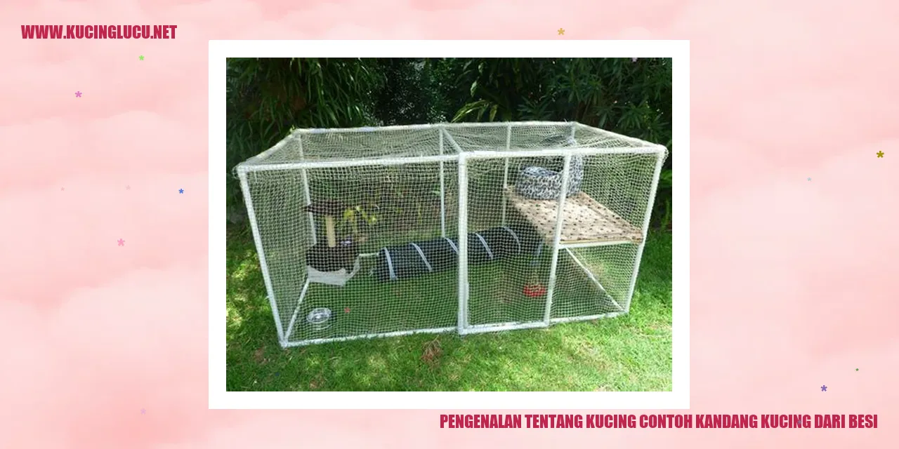 Kandang Kucing dari Besi