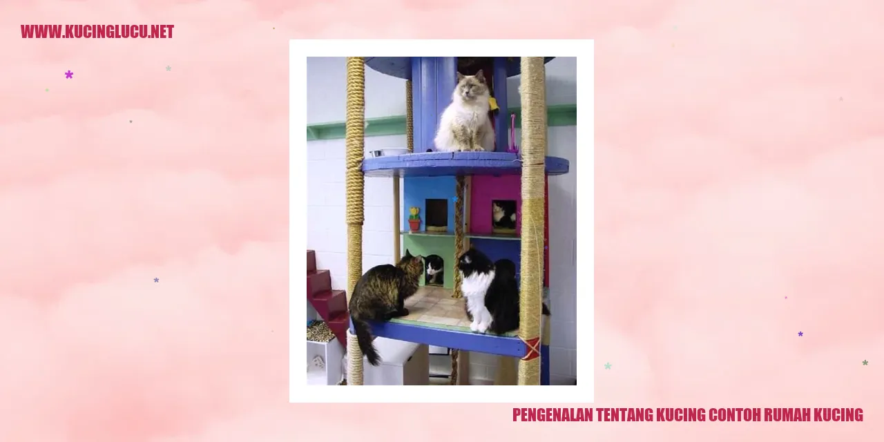 Kucing