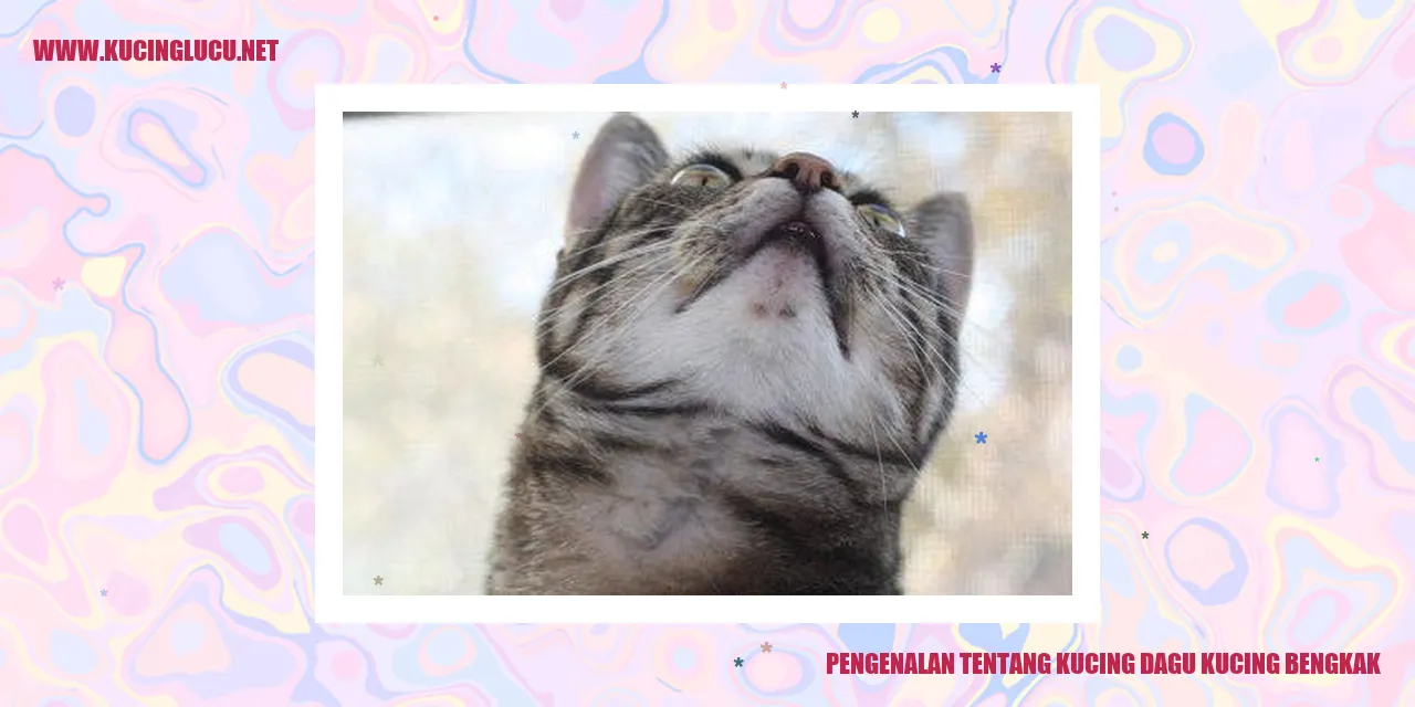 Kucing Dagu Kucing Bengkak