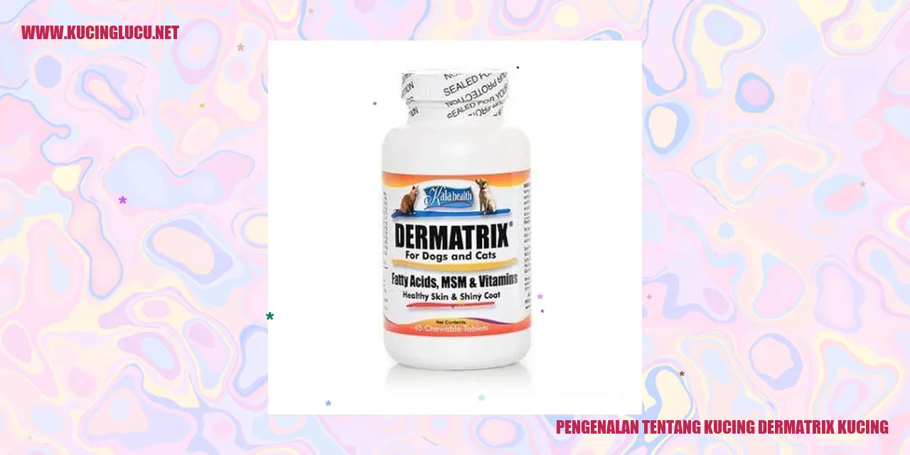 Gambar Kucing Dermatrix Kucing