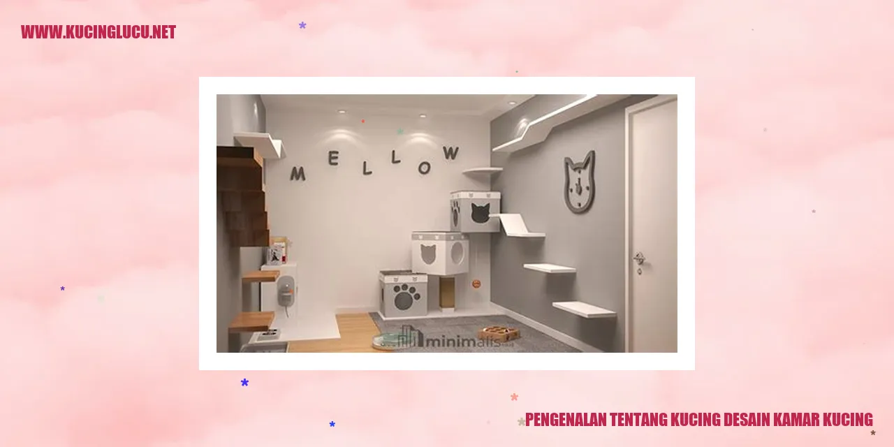 Gambar Kucing dan Kamar Kucing