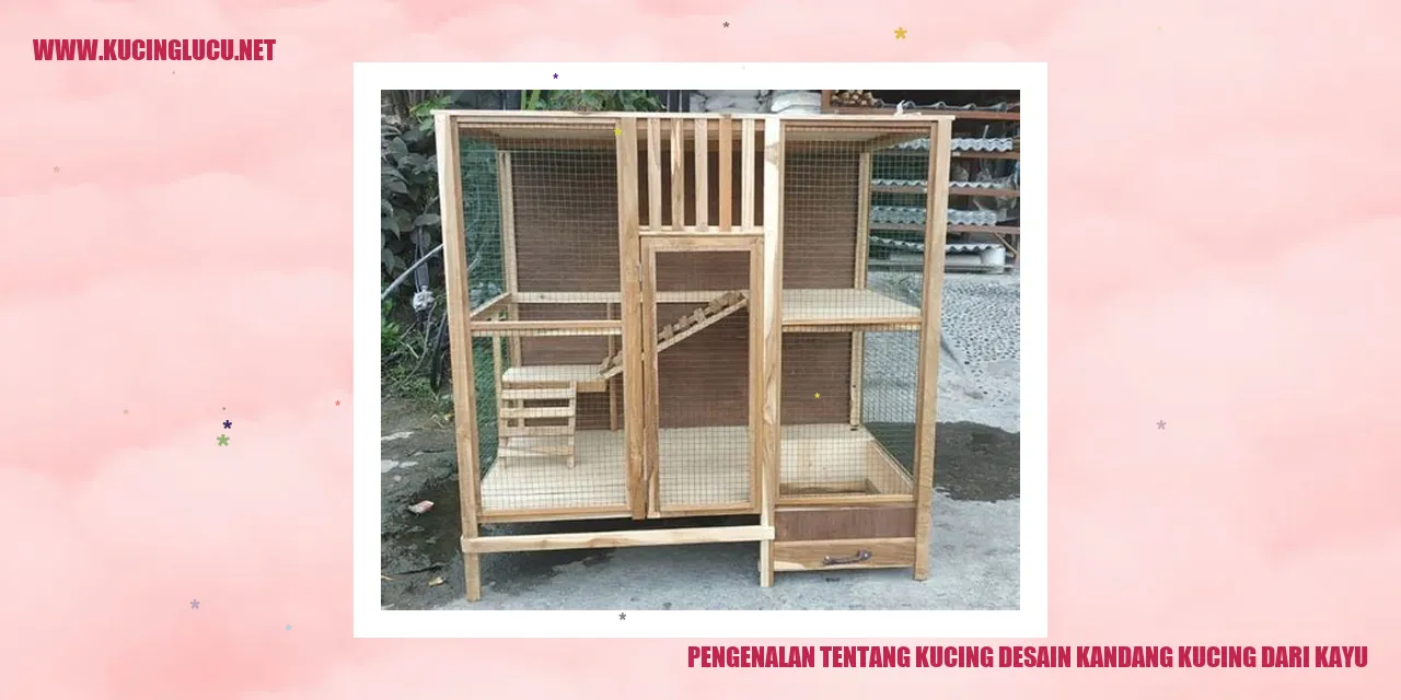 Kandang kucing dari kayu
