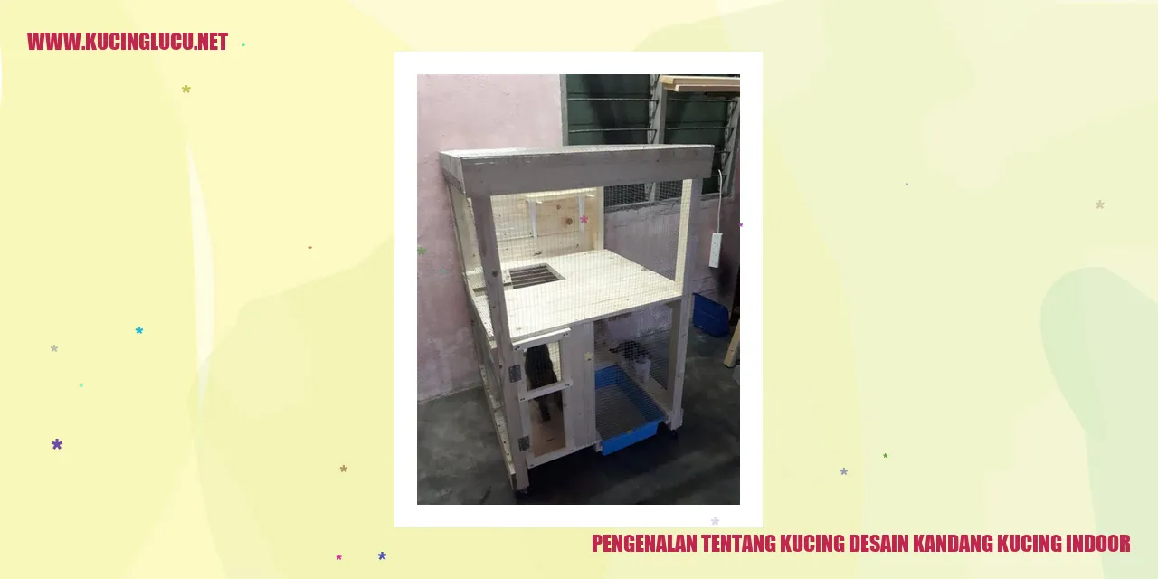 Kucing desain kandang kucing indoor
