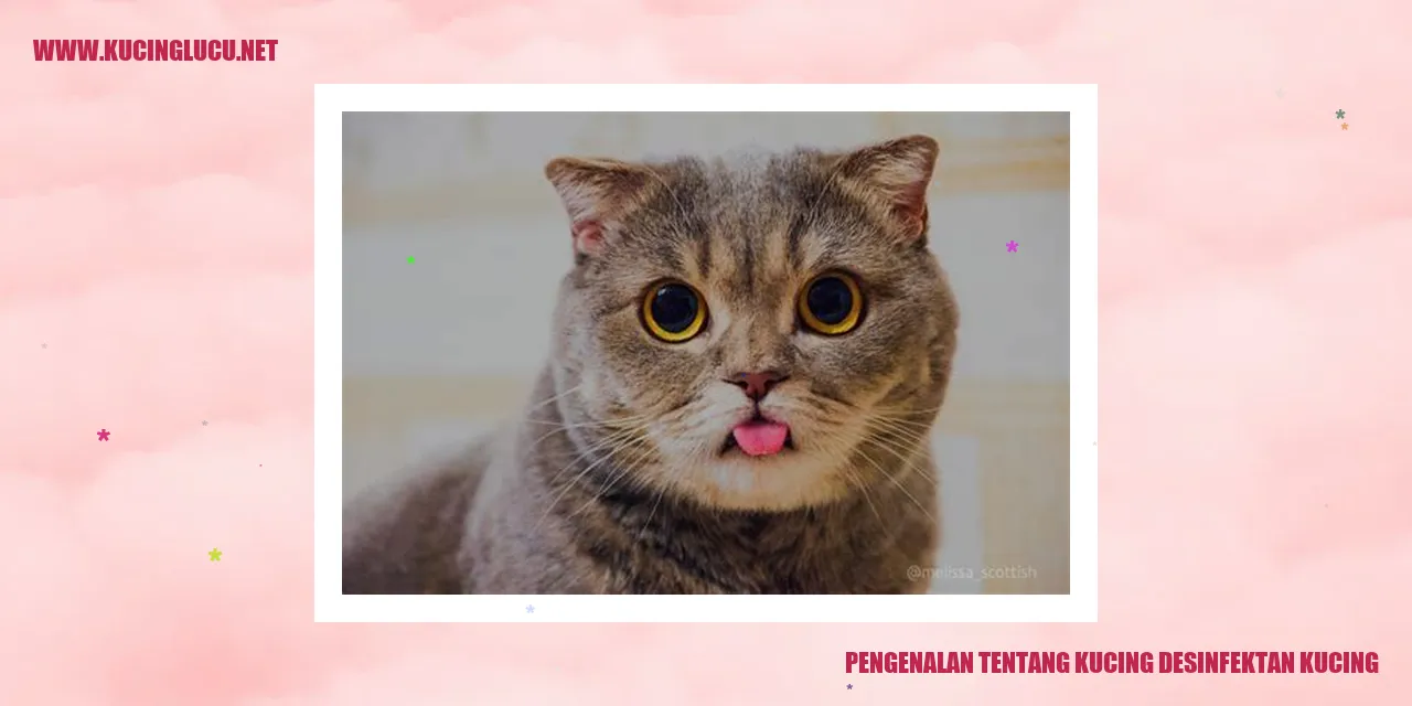 Kucing Desinfektan Kucing