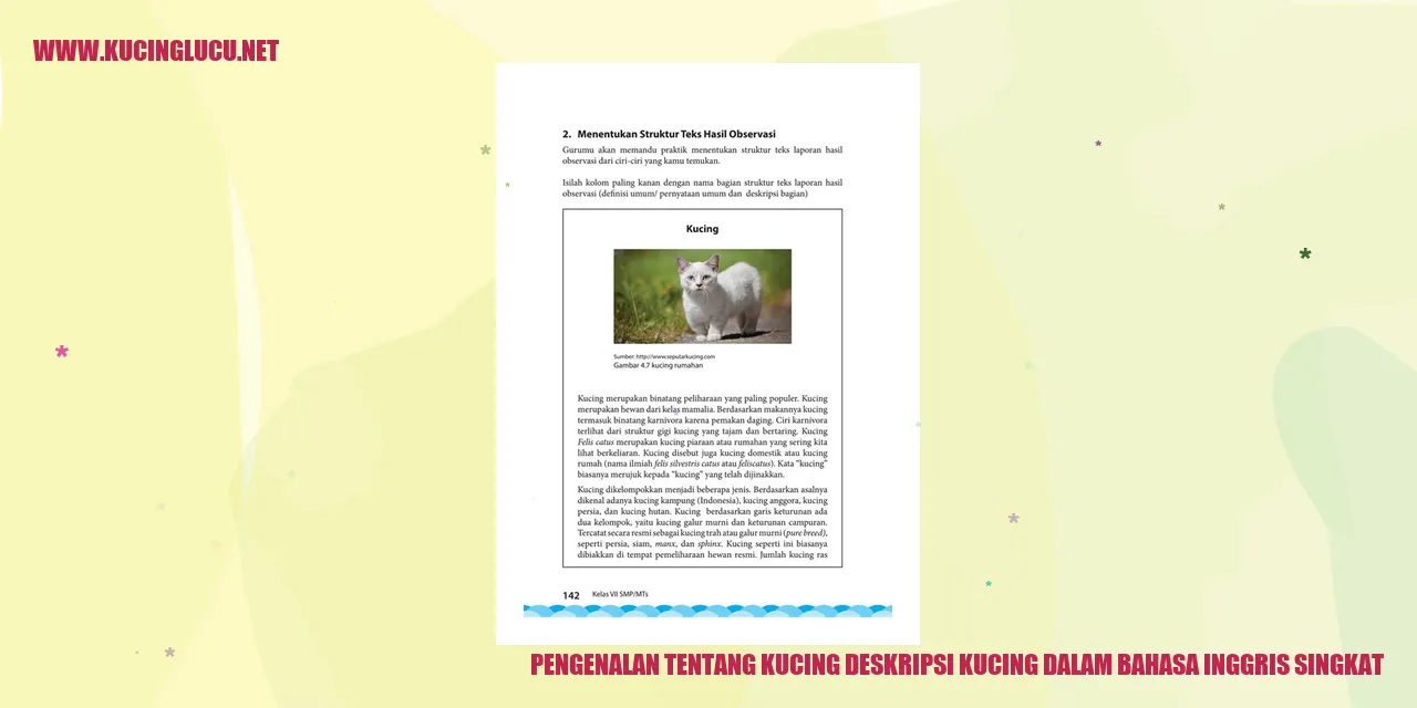 Kucing