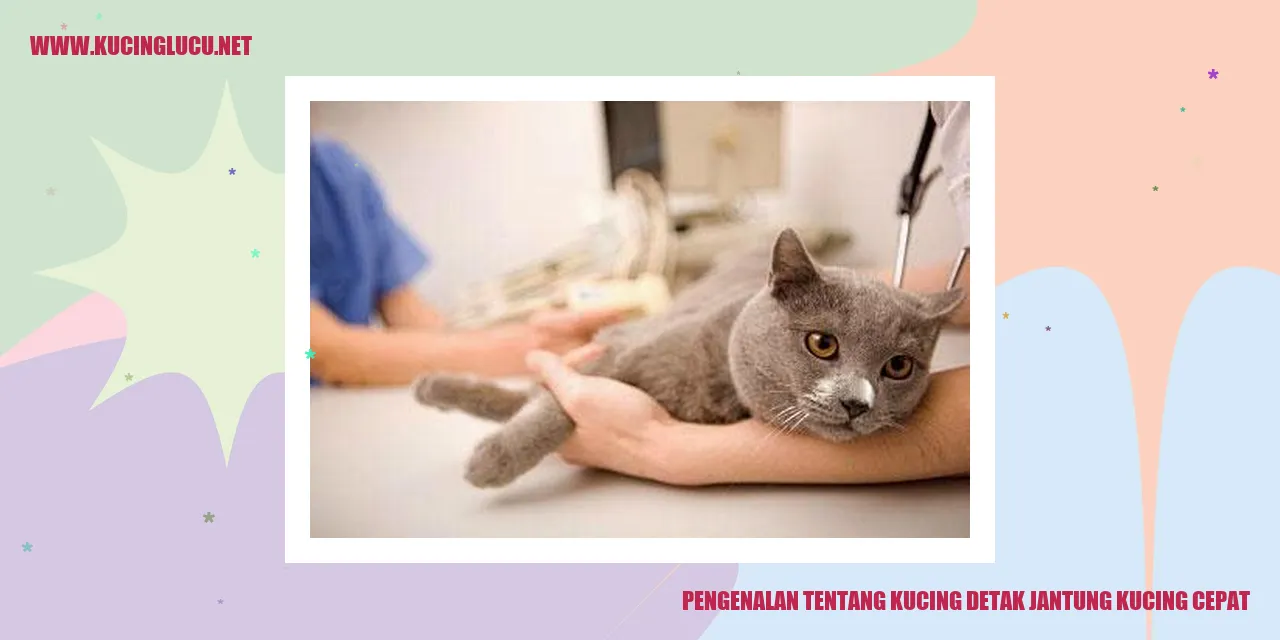 Gambar Kucing