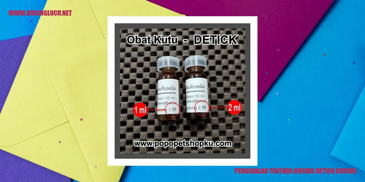 Pengenalan tentang Kucing detick kucing