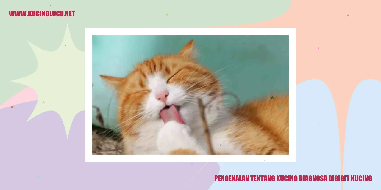 Gambar kucing diagnosa digigit kucing