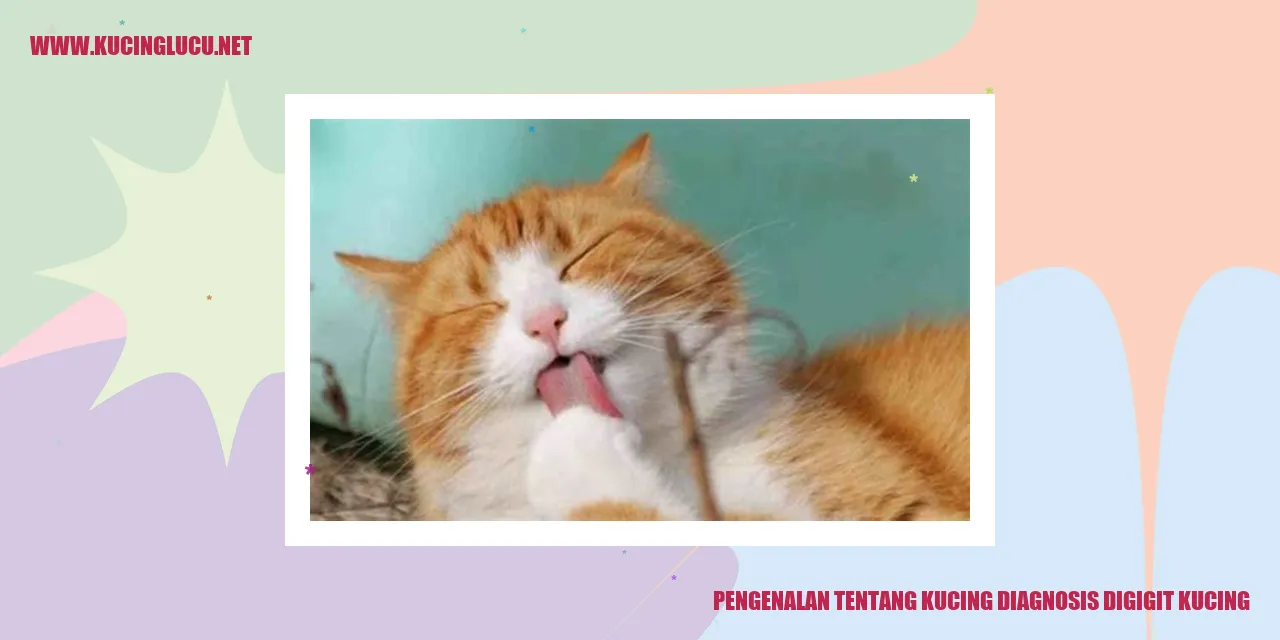 Gambar kucing