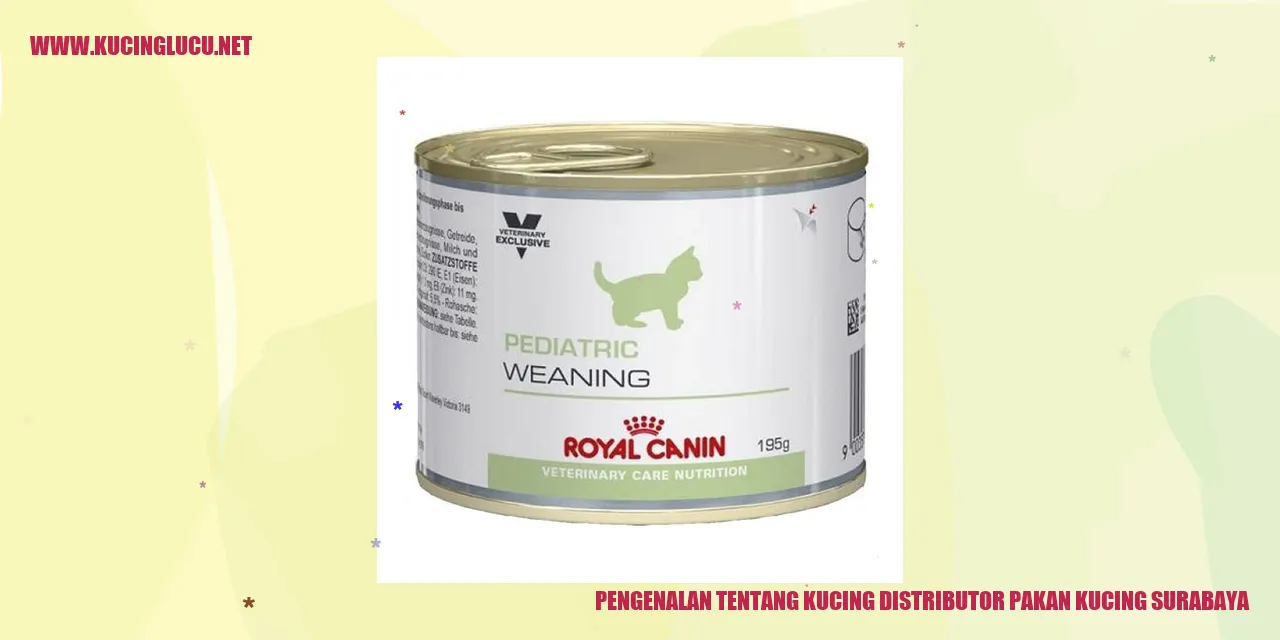 Pengenalan tentang Kucing distributor pakan kucing surabaya