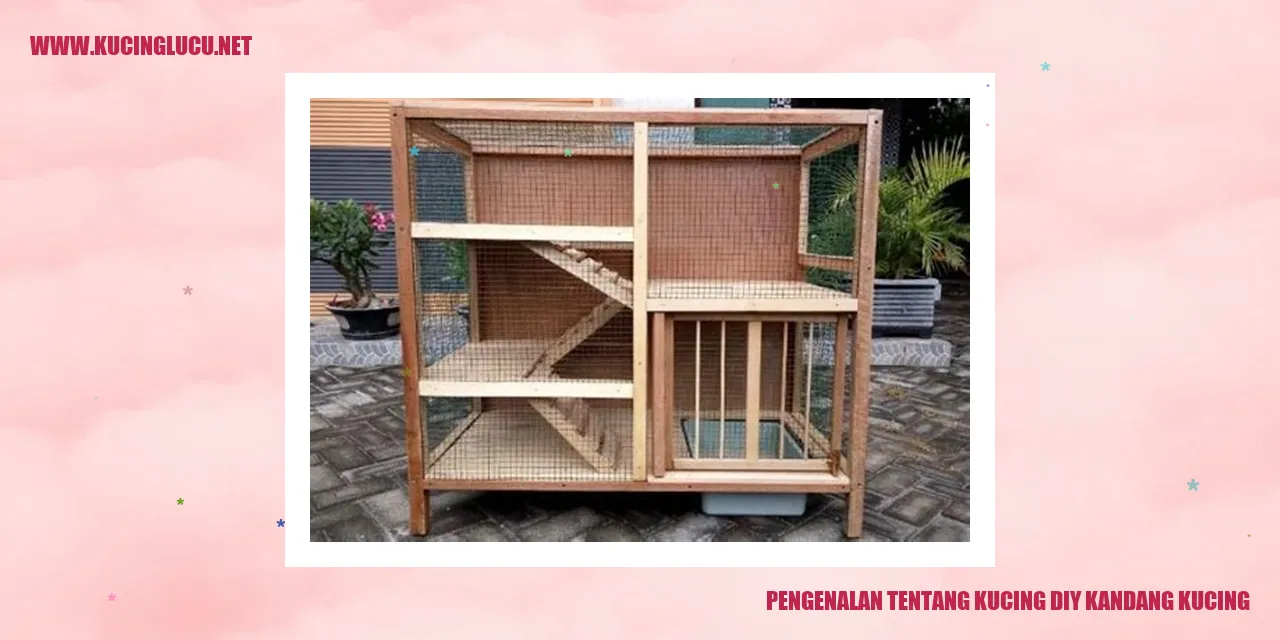 Kucing dalam peternakan