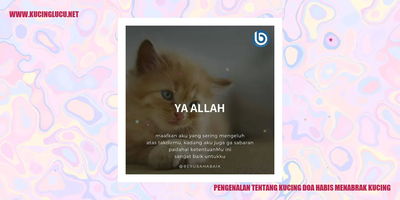 gambar kucing