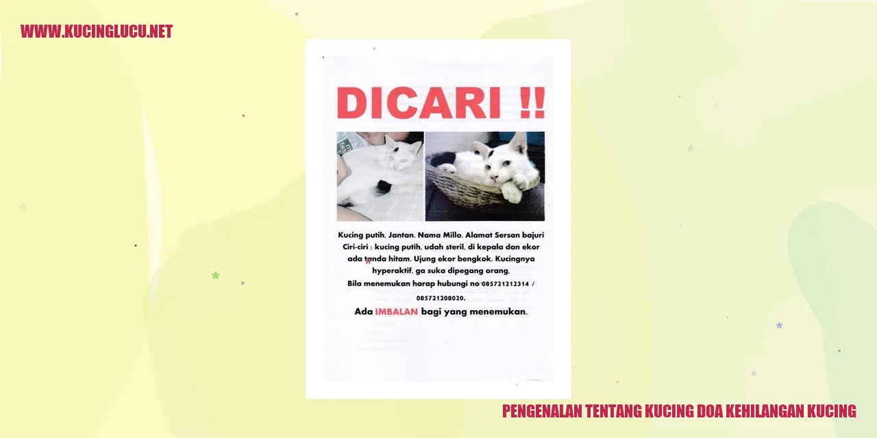 Gambar Singa Dalam Hutan
