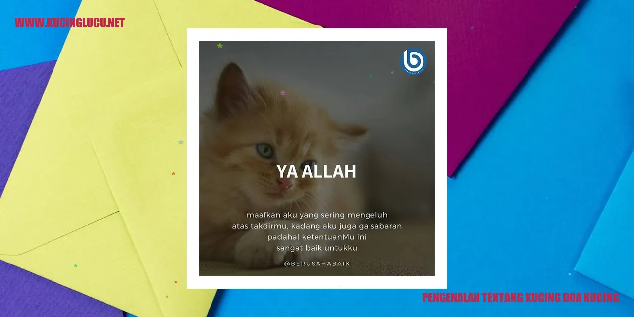 Kucing Doa Kucing