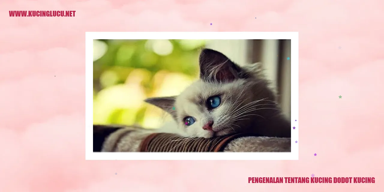 Gambar Kucing Dodot Kucing