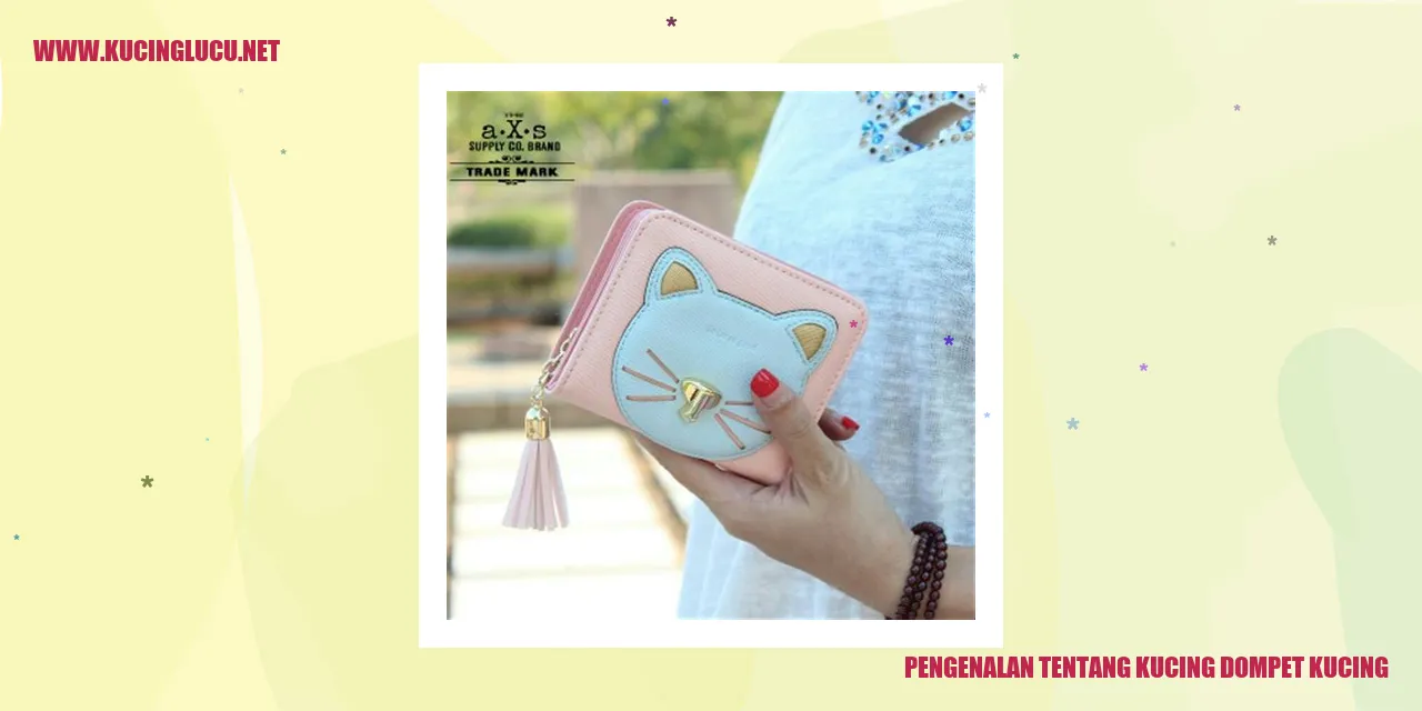 Gambar Kucing Dompet Kucing
