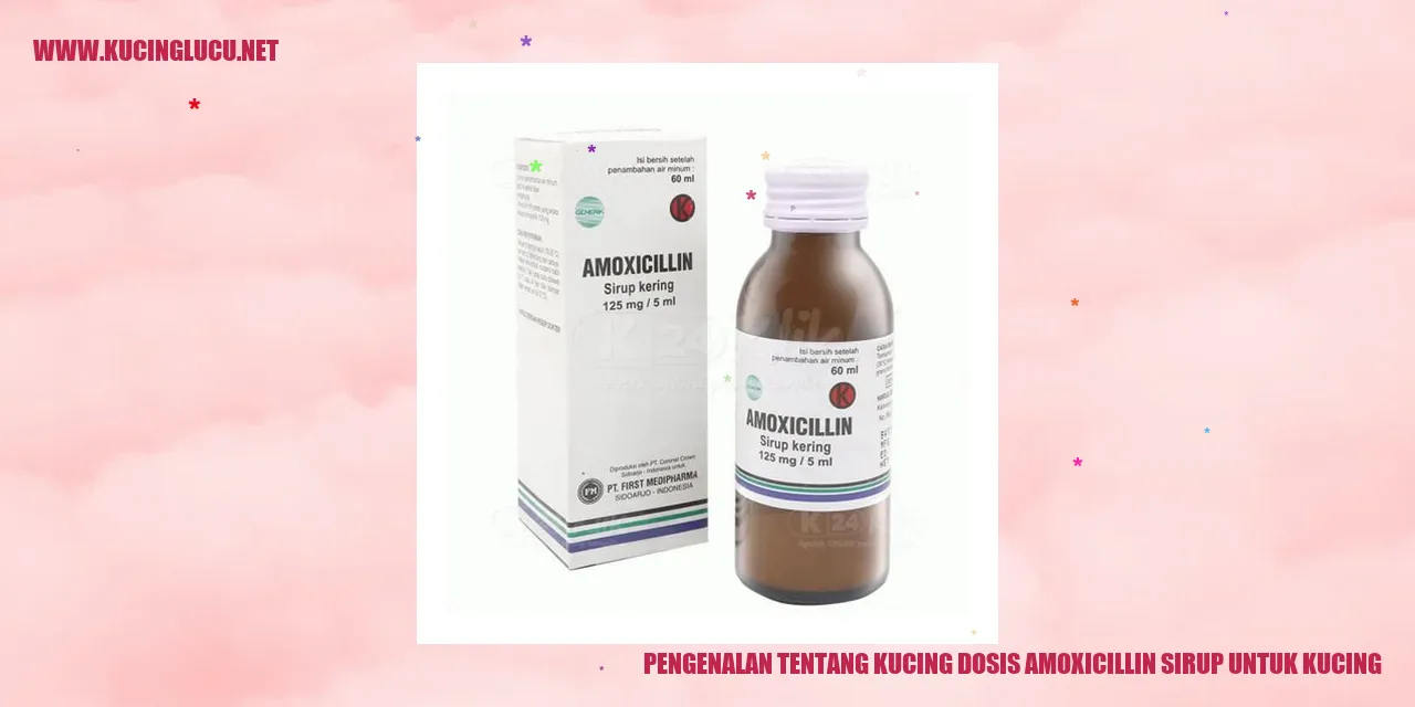 Pengenalan tentang Kucing dan Dosis Amoxicillin Sirup untuk Kucing