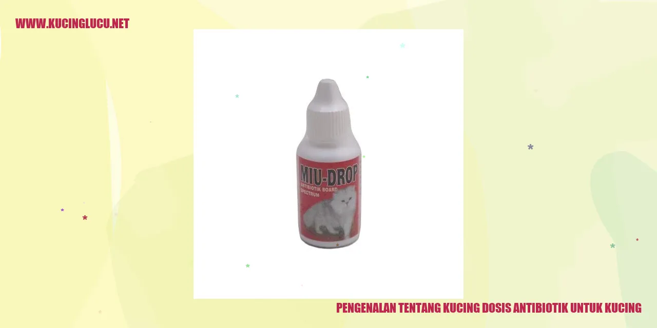 Kucing dan Takaran Obat Antibiotik untuk Kucing
