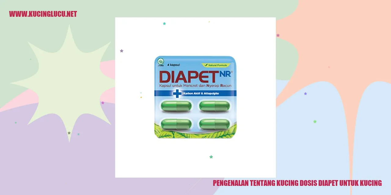 Gambar Kucing Diapet