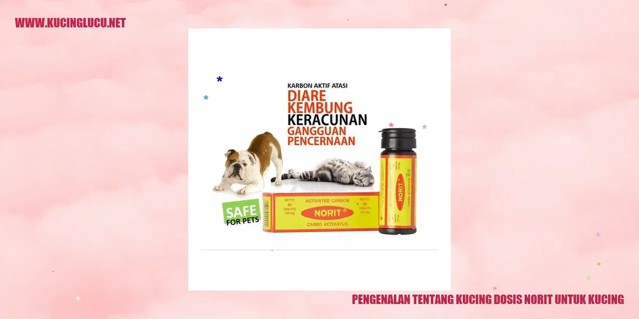 Gambar Kucing