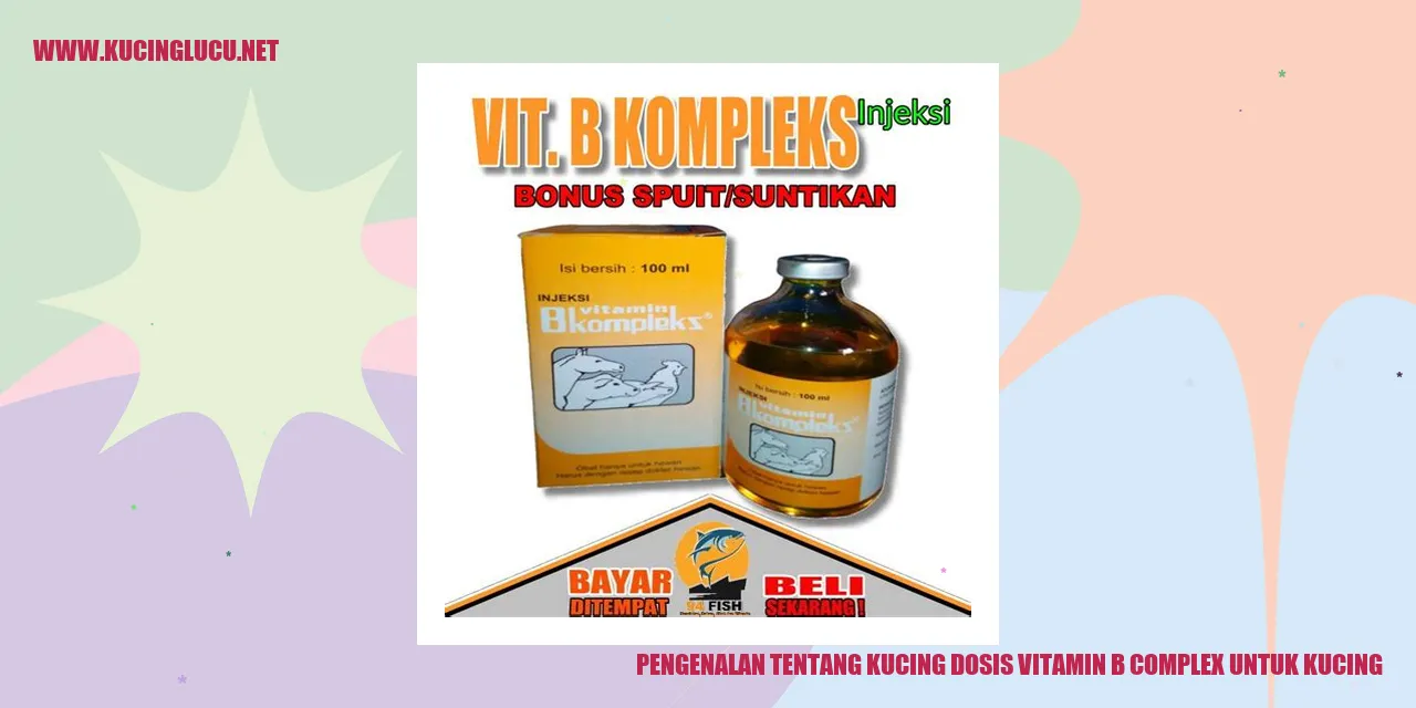 Kucing dan Dosis Vitamin B Complex untuk Kucing
