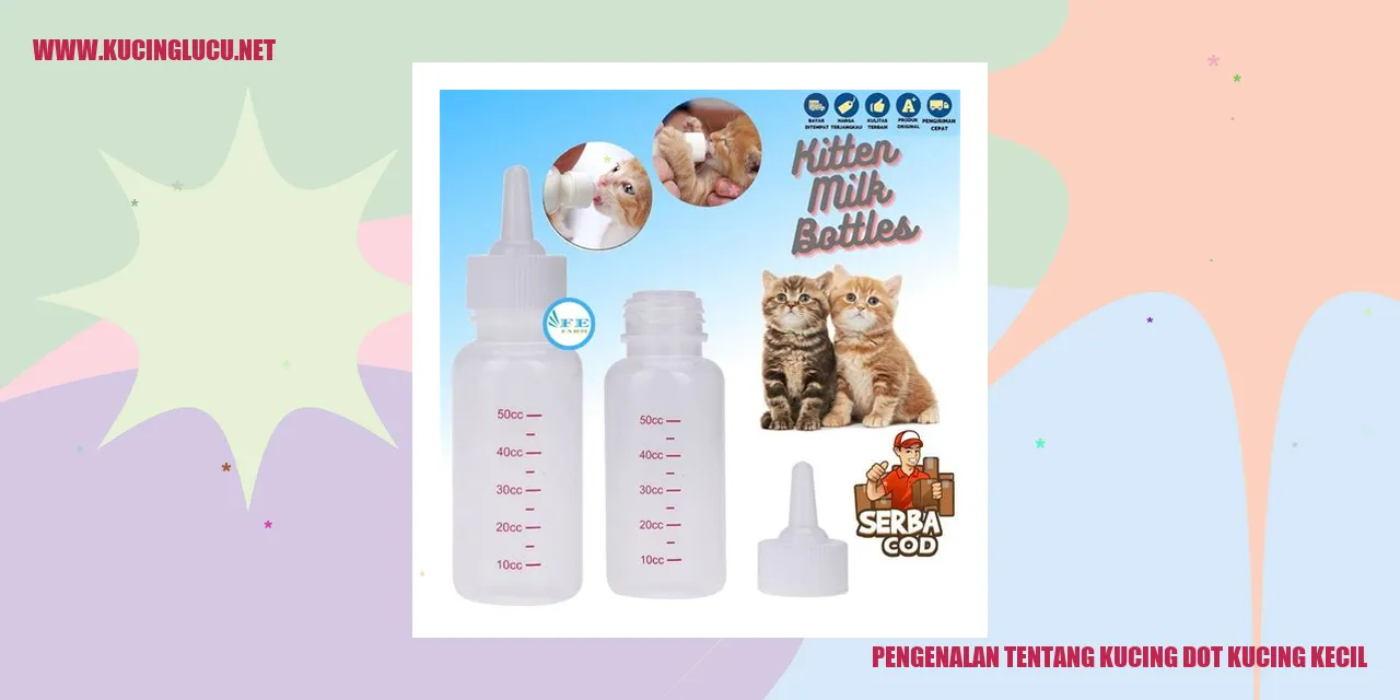 Kucing Dot Kucing Kecil