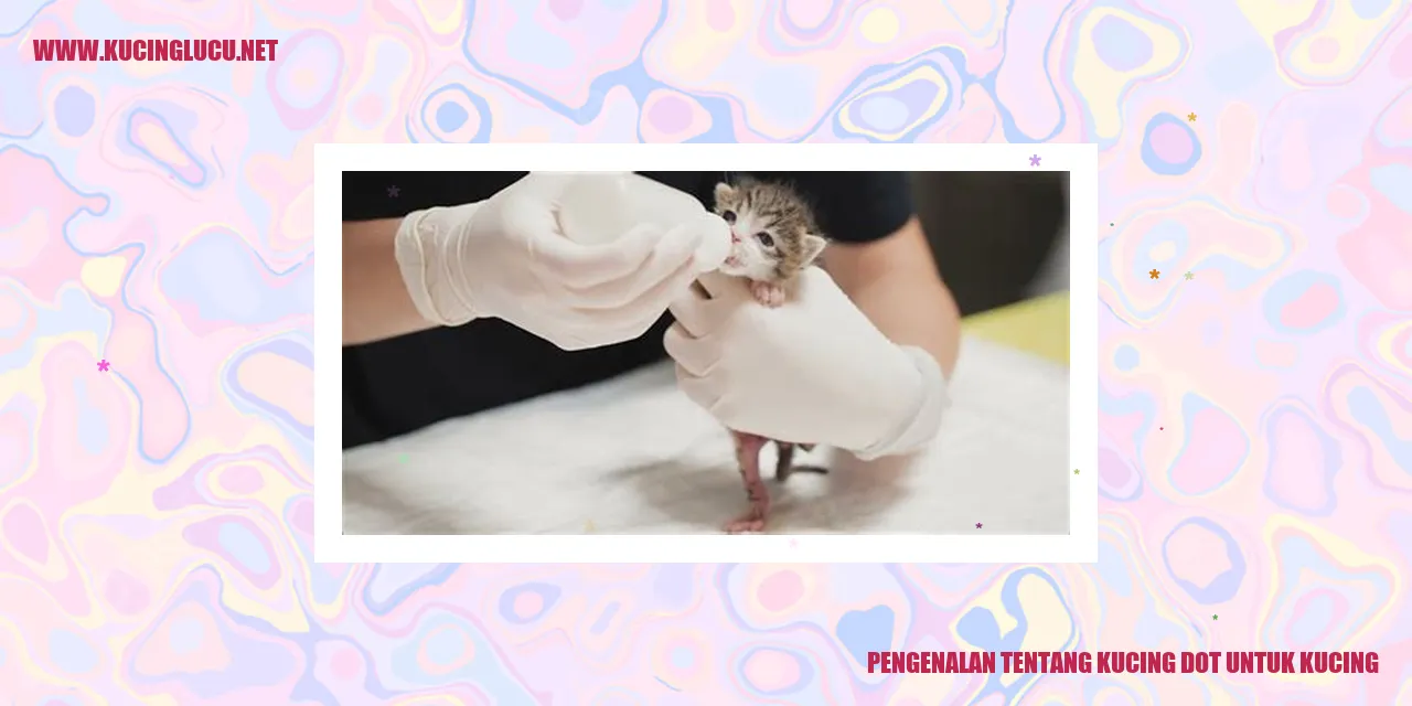 Kucing dot yang mempesona